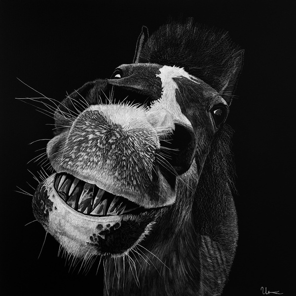 Ronja