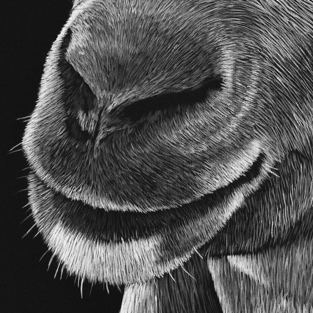 
ArtBox Print "Regula"