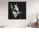 
ArtBox Print "René"