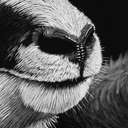 
ArtBox Print "René"