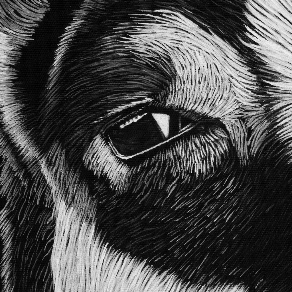 
ArtBox Print "René"