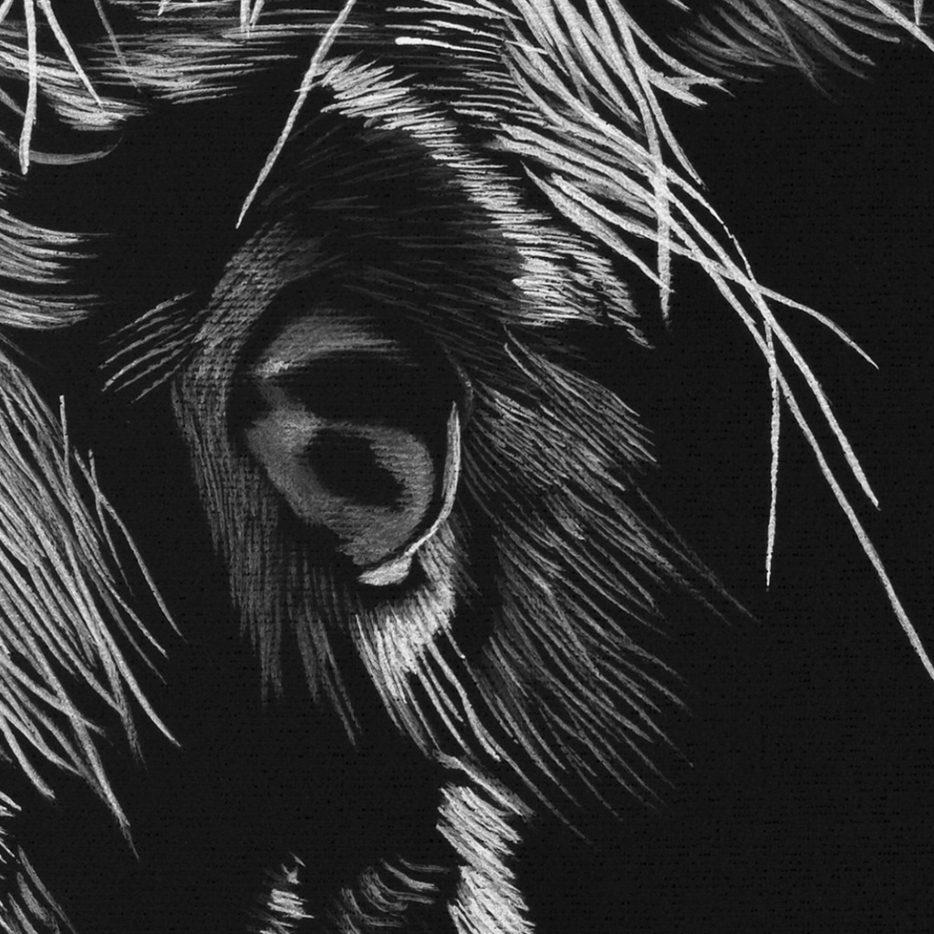 Marlies