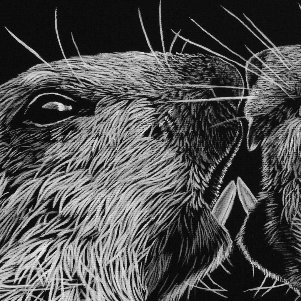 
ArtBox Print "Hans & Heiri"