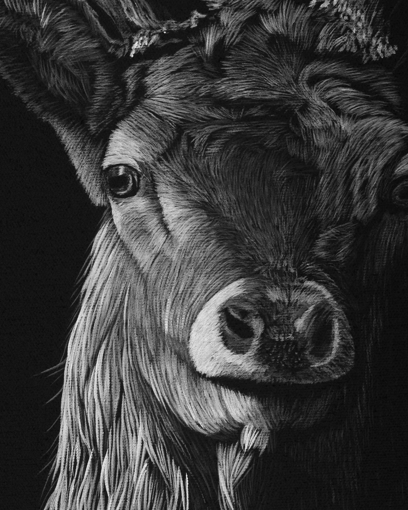 ArtBox Print "Arthur"