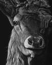 ArtBox Print "Arthur"