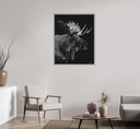 ArtBox Print "Erik"