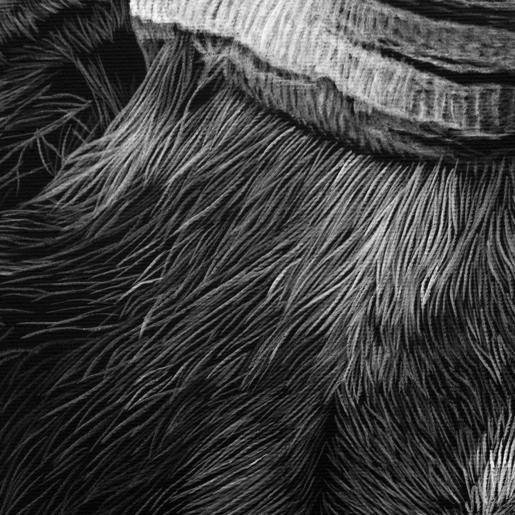 ArtBox Print "Ivo"