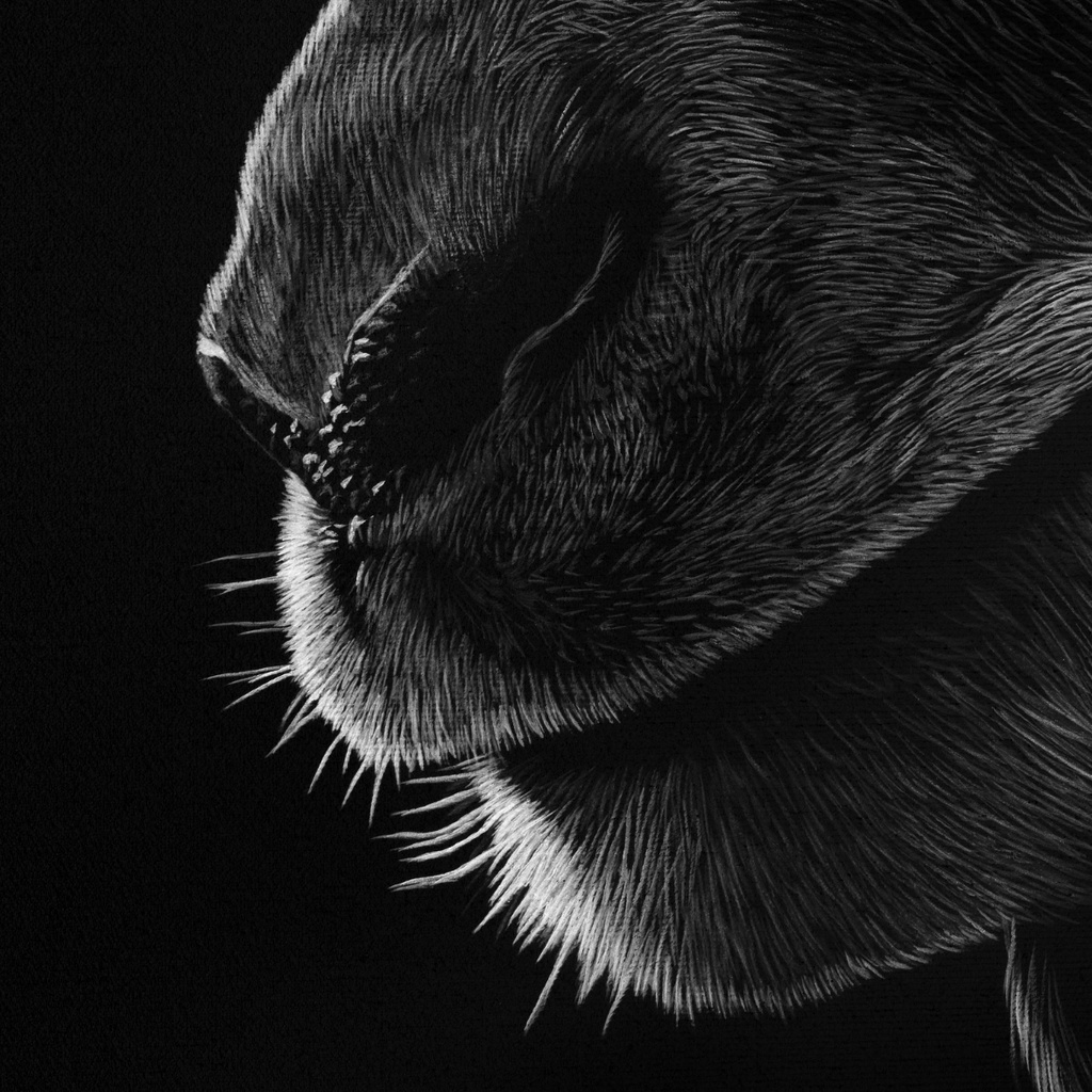 ArtBox Print "Ivo"