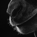 ArtBox Print "Ivo"