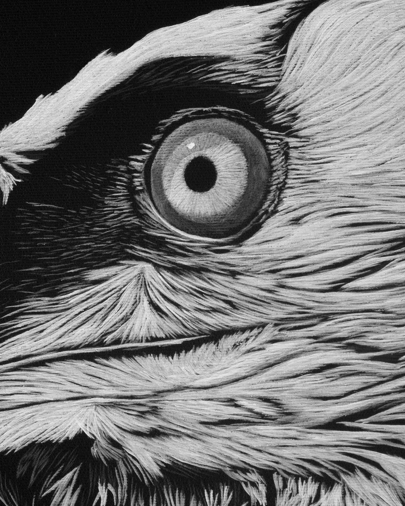 ArtBox Print "Rolf"