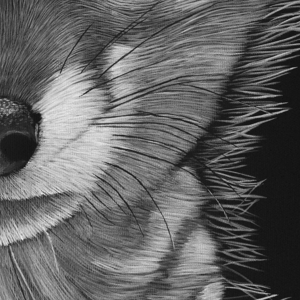 
ArtBox Print "Charly"