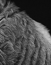 
ArtBox Print "Giachen"