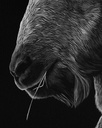
ArtBox Print "Giachen"