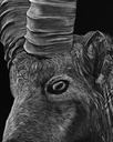 
ArtBox Print "Giachen"