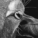 
ArtBox Print "Regula"
