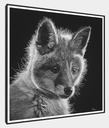 
ArtBox Print "Lars"