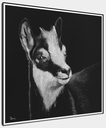 
ArtBox Print "René"