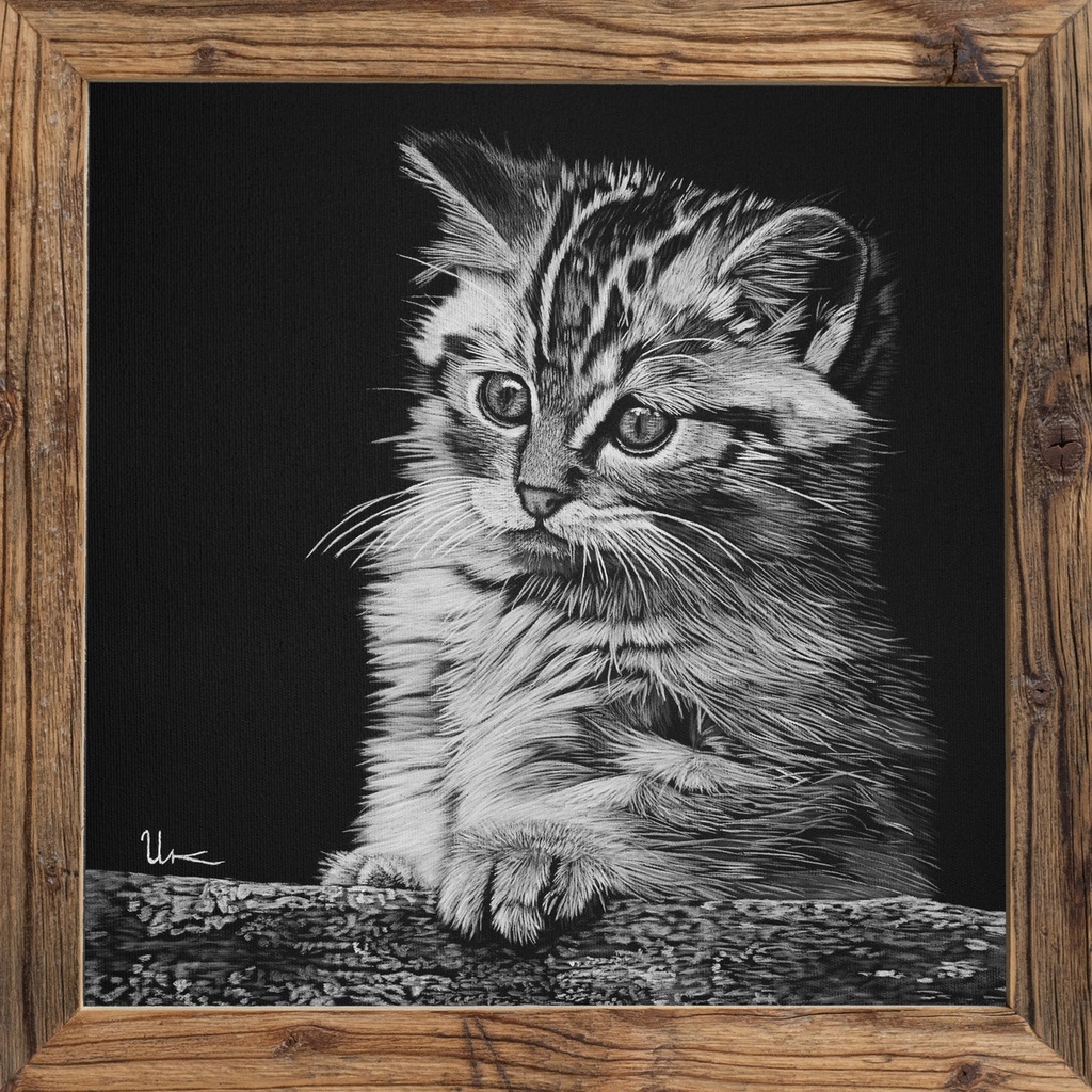 FineArt Print "Manu" inkl. Altholzrahmen (RESERVIERT)
