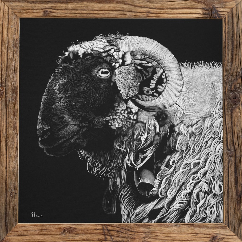 FineArt Print "Starlett" incl. vintage frame