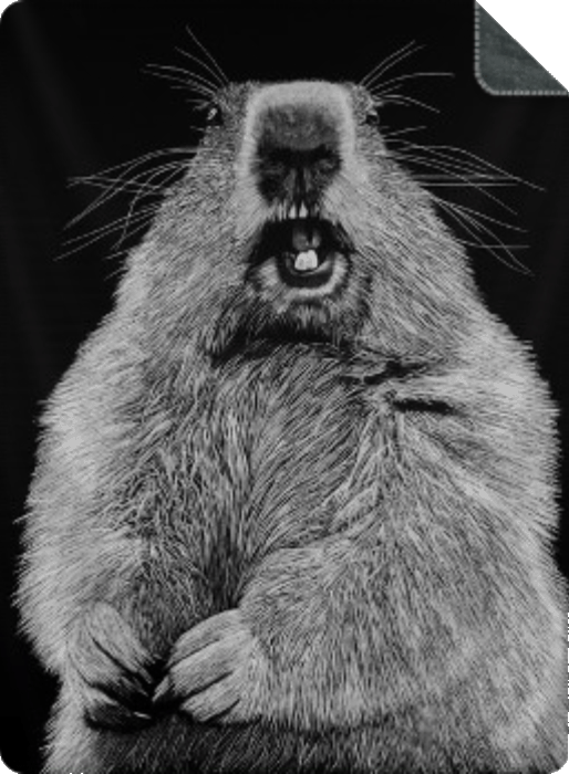 Kuscheldecke "Ursula"