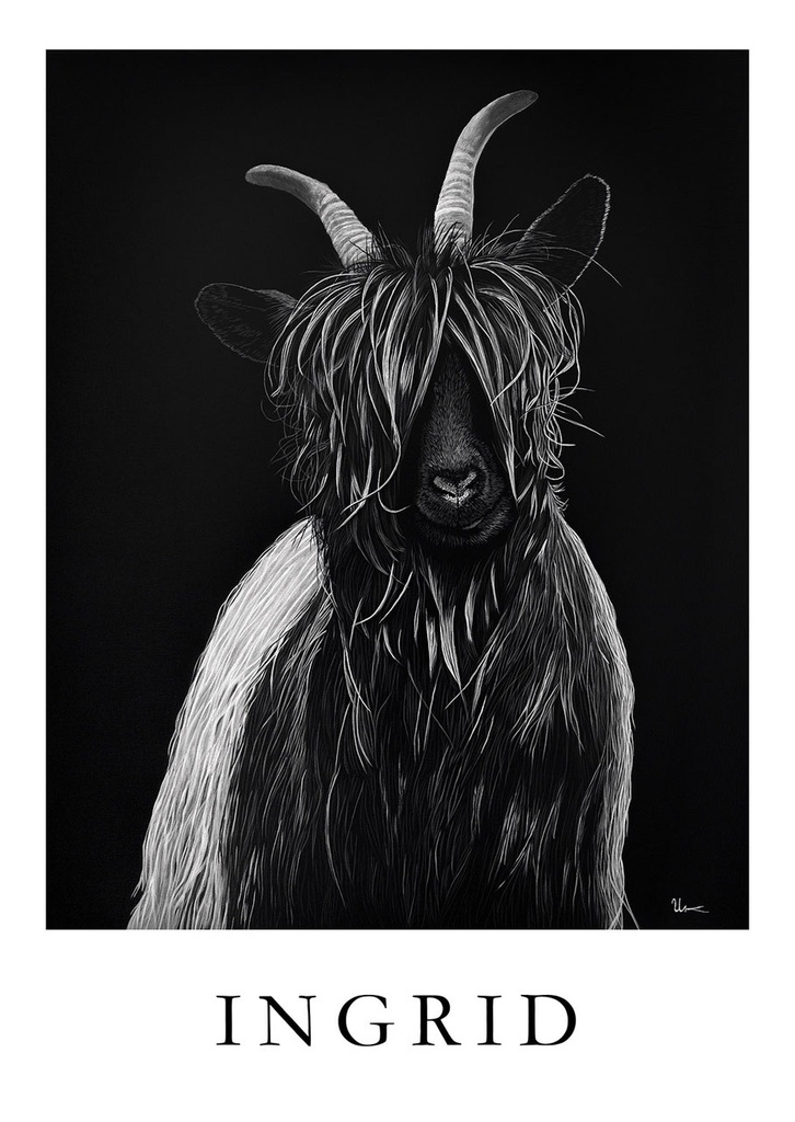 Postcard "Ingrid"