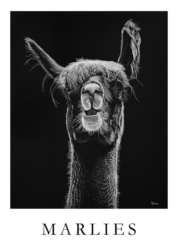 Postkarte "Marlies"