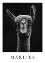 Postkarte "Marlies"