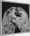 
ArtBox Print "Hans & Heiri"