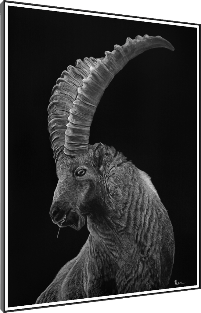 ArtBox Print "Giachen"