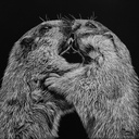 Hans & Heiri