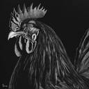 Herbert