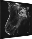 ArtBox Print "Ivo"