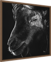 ArtBox Print "Ivo"