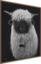 ArtBox Print "Kimba"
