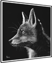ArtBox Print "Livio"