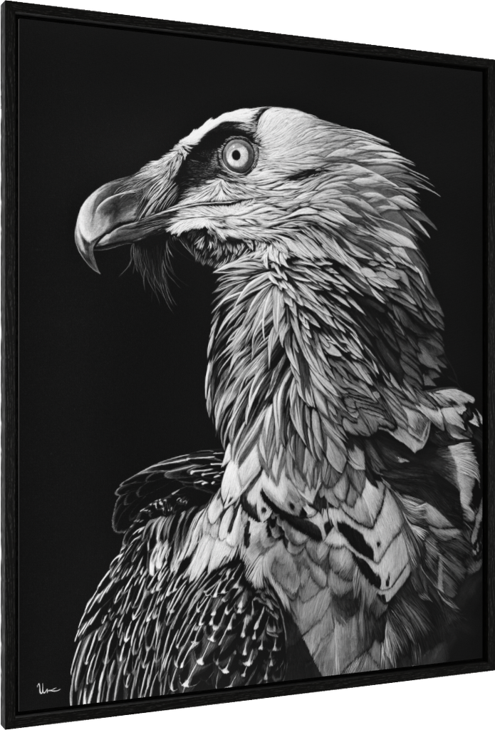 ArtBox Print "Rolf" (Black oak, width 15 mm, depth 29 mm)