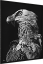 ArtBox Print "Rolf"