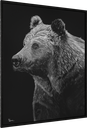 ArtBox Print "Linus"