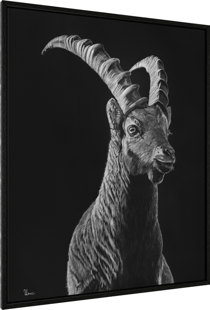 ArtBox Print "Domeni"