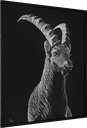 ArtBox Print "Domeni"