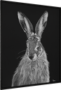 
ArtBox Print "Pirmin"