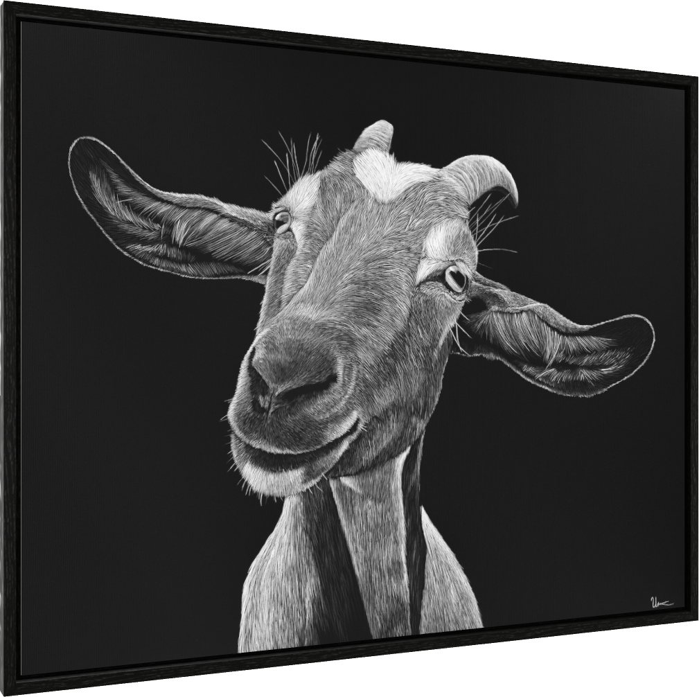 
ArtBox Print "Regula" (Eiche schwarz, Breite 15 mm, Tiefe 29 mm)