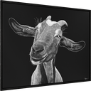 
ArtBox Print "Regula"