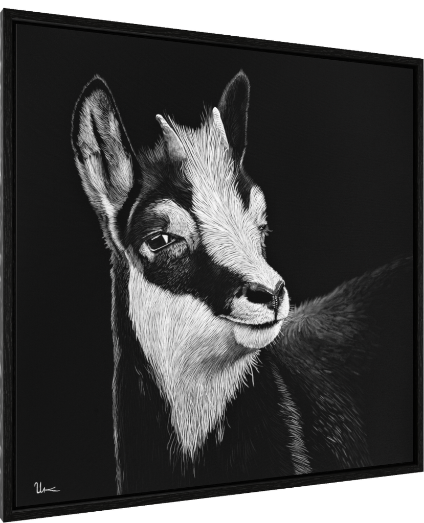 ArtBox Print "René" (Eiche schwarz, Breite 15 mm, Tiefe 29 mm)