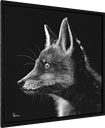 ArtBox Print "Livio"