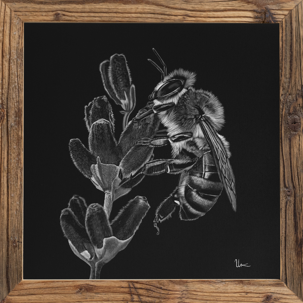 FineArt Print "Lilly" inkl. Altholzrahmen