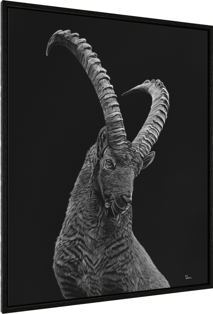 ArtBox Print "Andri" (Eiche schwarz, Breite 15 mm, Tiefe 29 mm)