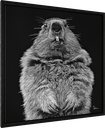 ArtBox Print "Bruno"