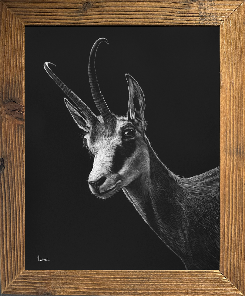 FineArt Print "Nova" inkl. Altholzrahmen