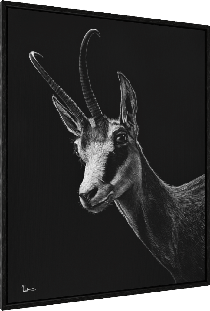 ArtBox Print "Nova" (Eiche schwarz, Breite 15 mm, Tiefe 29 mm)